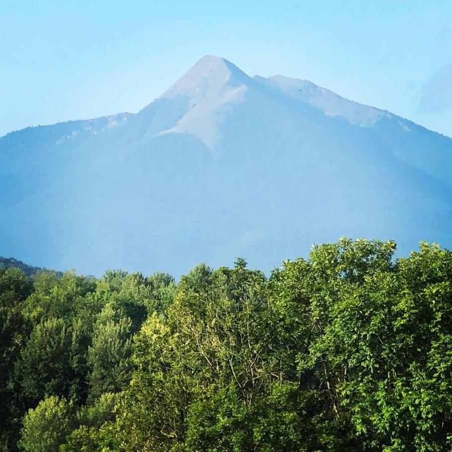 Gite Colombe Des Bois Estadens Dış mekan fotoğraf